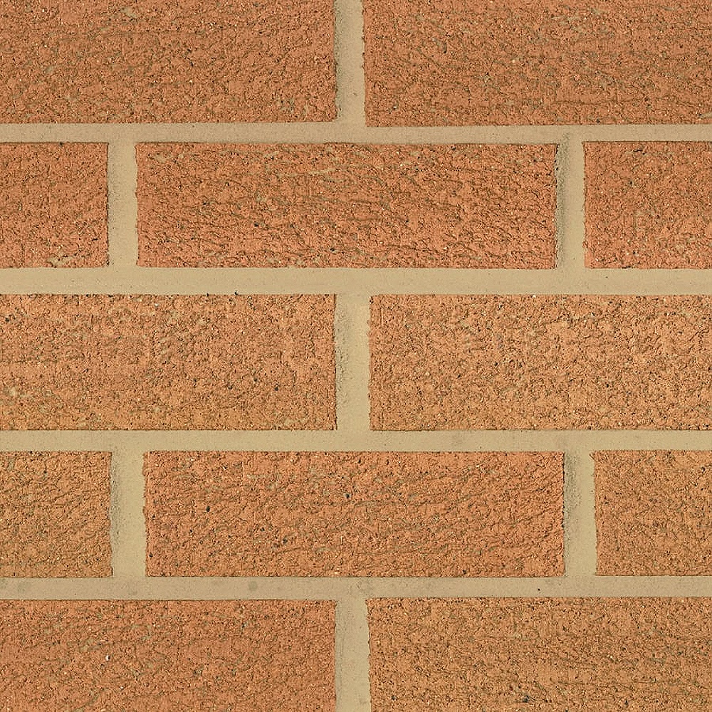 Carlton 65mm Buff Rustic Facing Brick Pack of 504