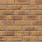 Bradgate Golden Purple Facing Brick Pack of 430 10000775
