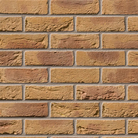 Bradgate Golden Purple Facing Brick Pack of 430 10000775