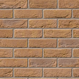 Bradgate Harvest Antique Facing Brick Pack of 430 10000777