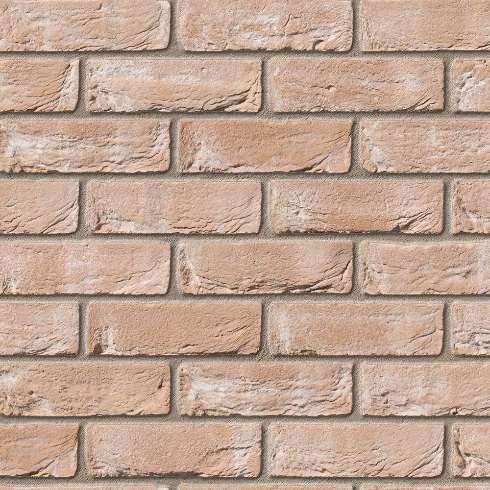 Bradgate Light Buff Facing Brick Pack of 430 10000778