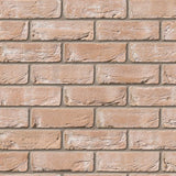 Bradgate Light Buff Facing Brick Pack of 430 10000778
