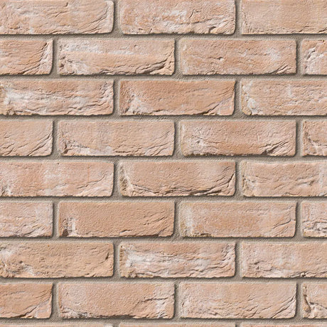 Bradgate Light Buff Facing Brick Pack of 430 10000778