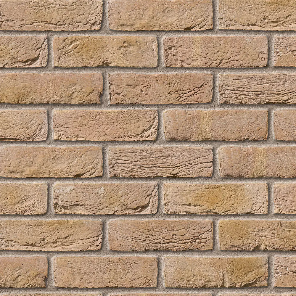 Bradgate Multi Cream Facing Brick Pack of 430 10000780