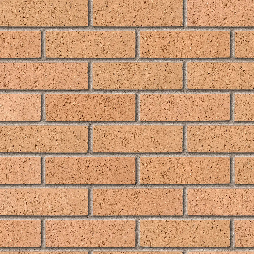Bristol Gold Facing Brick Pack of 500 10000785