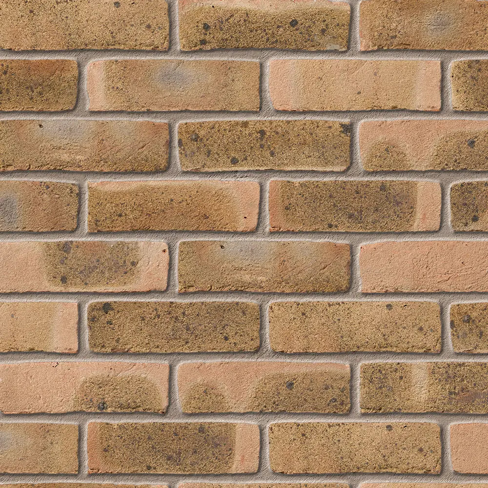 Coleridge Yellow Multi Facing Brick Pack of 500 10000807