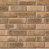 Coleridge Yellow Multi Facing Brick Pack of 500 10000807