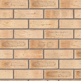 Minster Beckstone Mixture Facing Brick Pack of 475 10000863