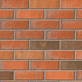 Roughdale Red Multi Ructic Facing Brick Pack of 404 IBSTOCK BRICK LTD