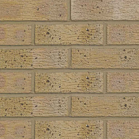 Lbc Nene Valley Stone Facing Brick Pack of 390