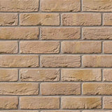 Bradgate Multi Cream N/S Facing Brick Pack of 430