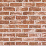 Brick Slip Blend 4 Tile Box (0.6m2)