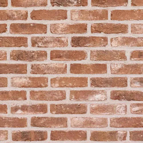 Brick Slip Blend 4 Tile Box (0.6m2)
