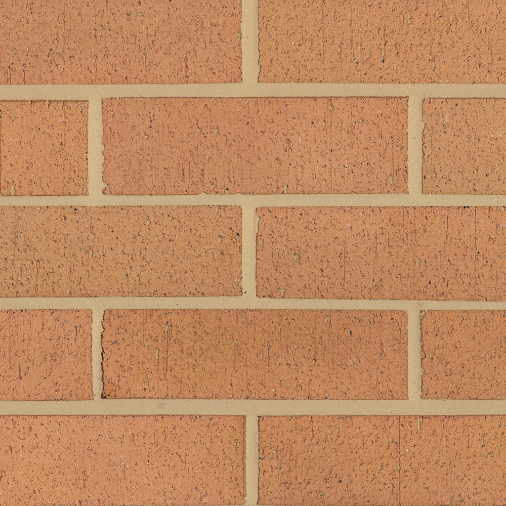 Carlton 65mm Buff Dragwire Facing Brick Pack of 504