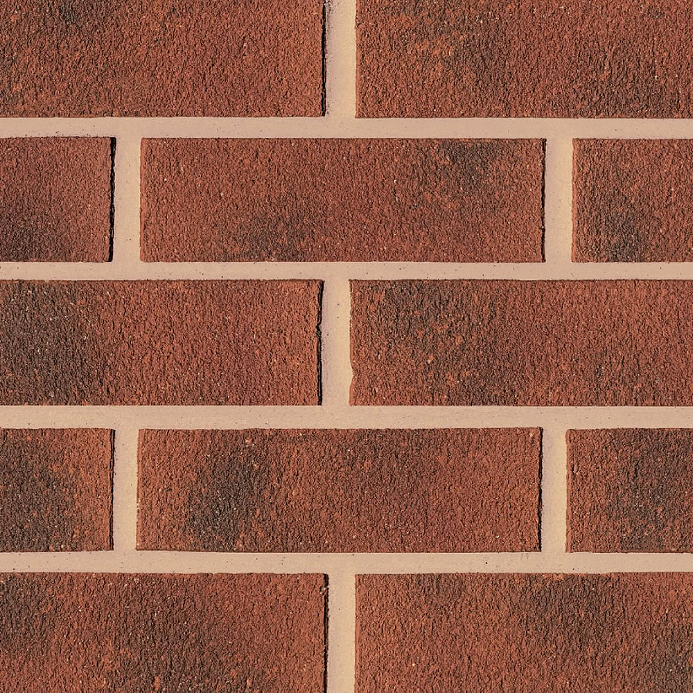 Carlton 73mm Priory Mixture Pack of 464