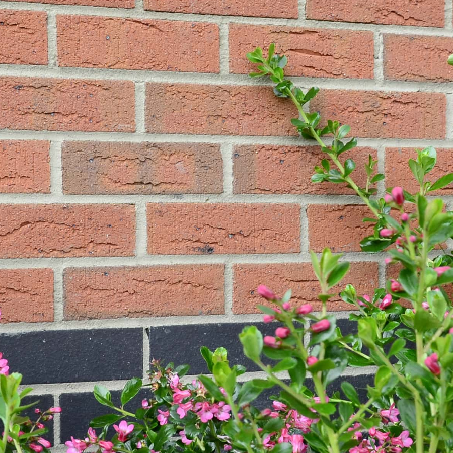 MBH 65mm Blockley Wrekin Berkshire Red Facing Brick Pack of 400